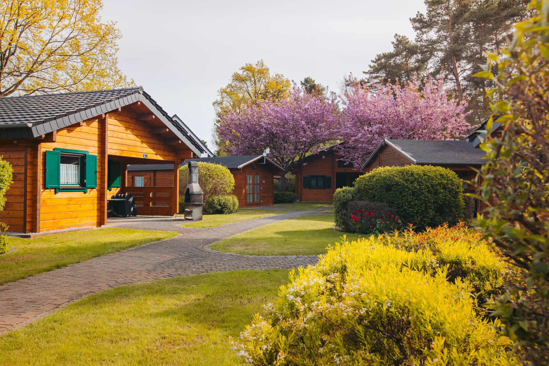 Anlage Bungalows am Senftenberger See – Bild 2